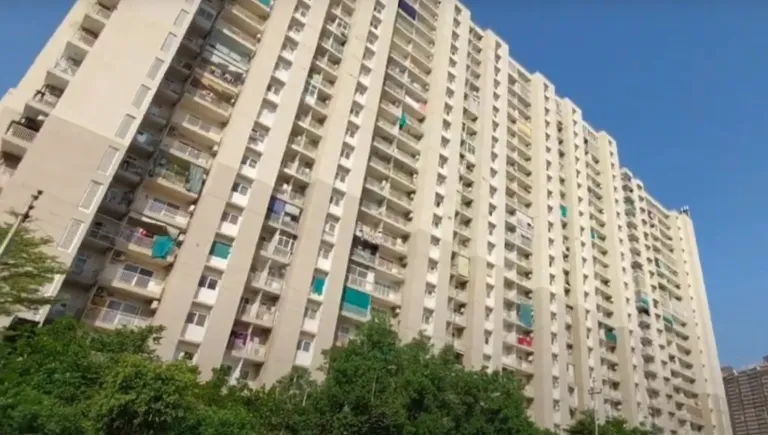 Gaur City 5th Avenue 2/3 BHK Apartments Greater Noida West